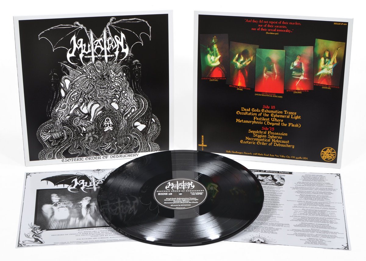 The LP: front cover, back cover with band photos and tracklist, black vinyl and lyric insert